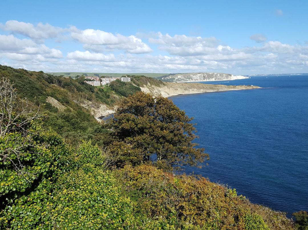 Durlston Country Park景点图片