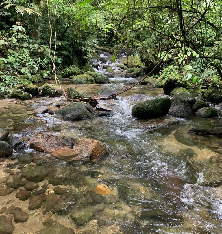 Fazenda Colomi Ecoturismo