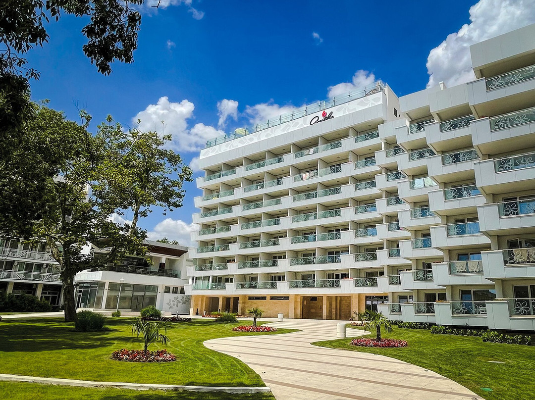 阿尔伯纳酒店住宿-Maritim Hotel Amelia