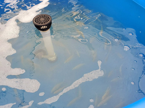 Keys Maritime Specialty Bait & Seafood-马拉松必去景点