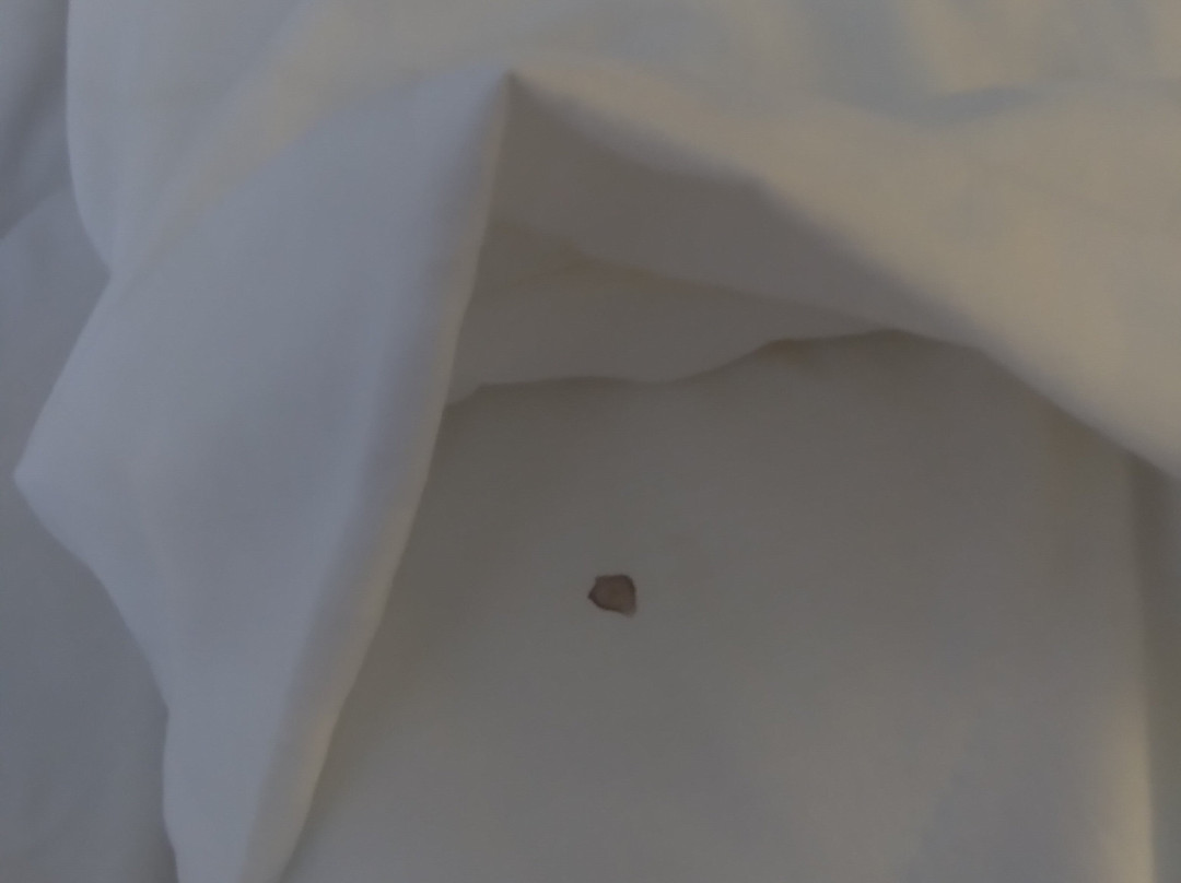 保尔武基旅馆&会议中心主图