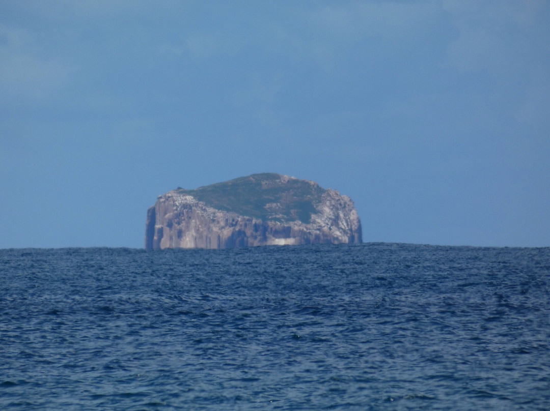Pirates Bay/Eaglehawk Neck景点图片