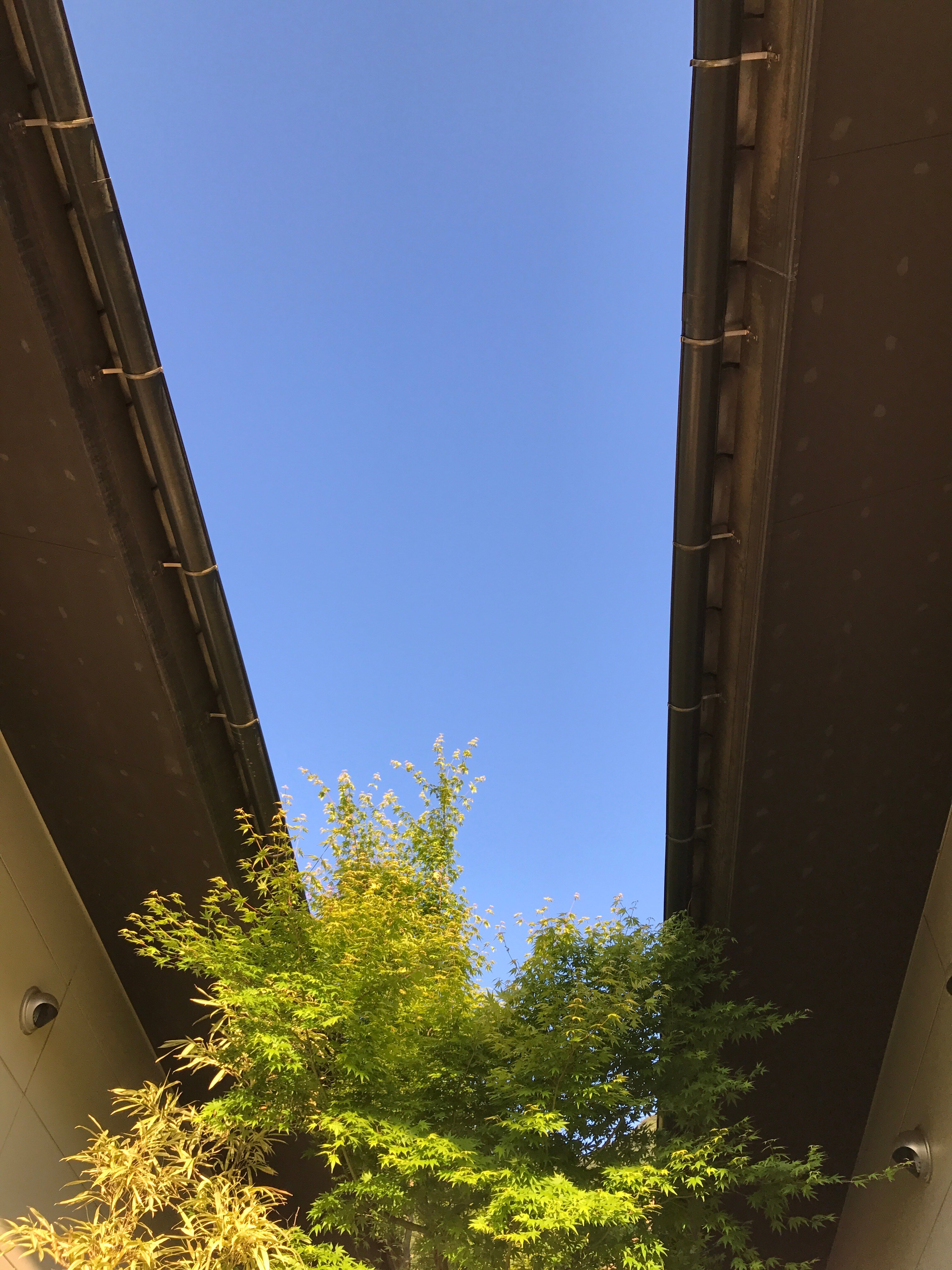 Hanamomiji-酒店景观