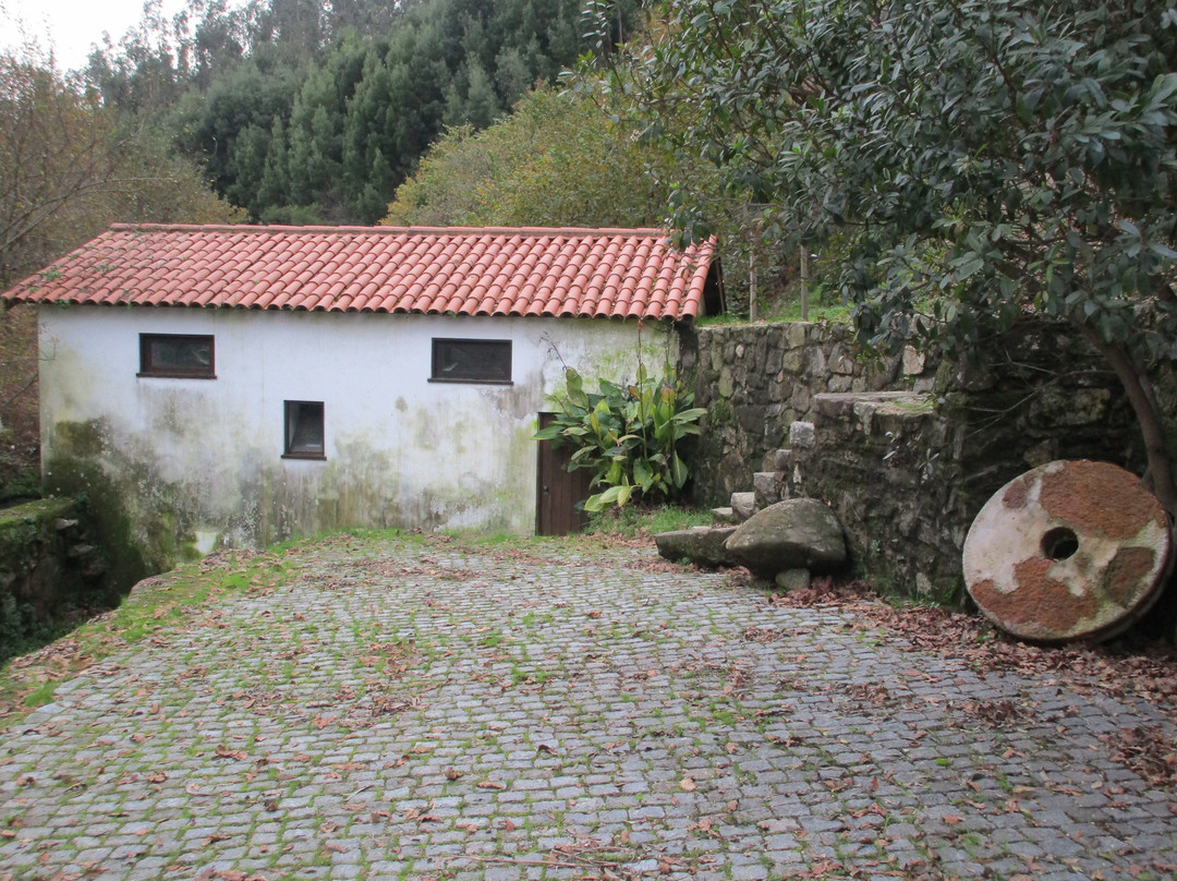 Parque Tematico Molinologico景点图片