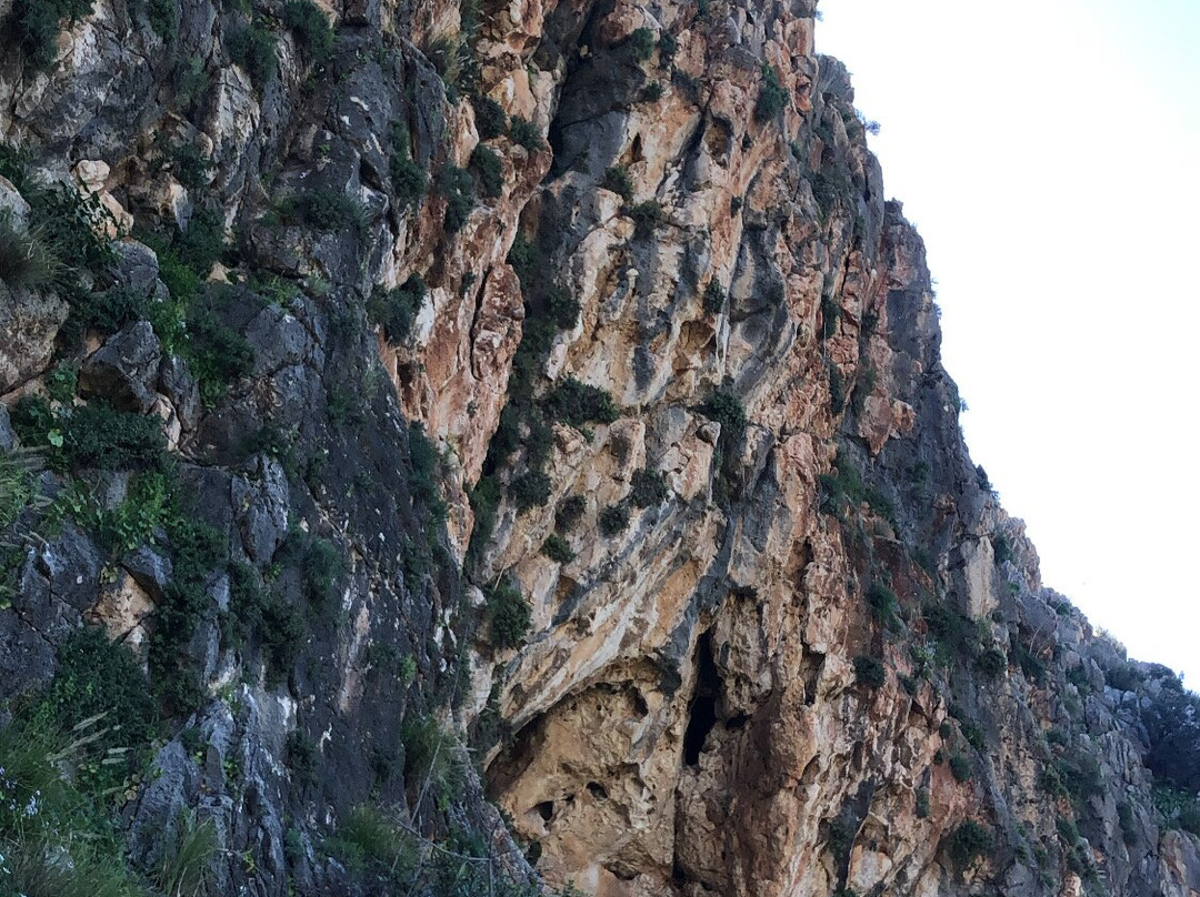 Nahal Mearot Nature Preserve-Ein Hod必去景点