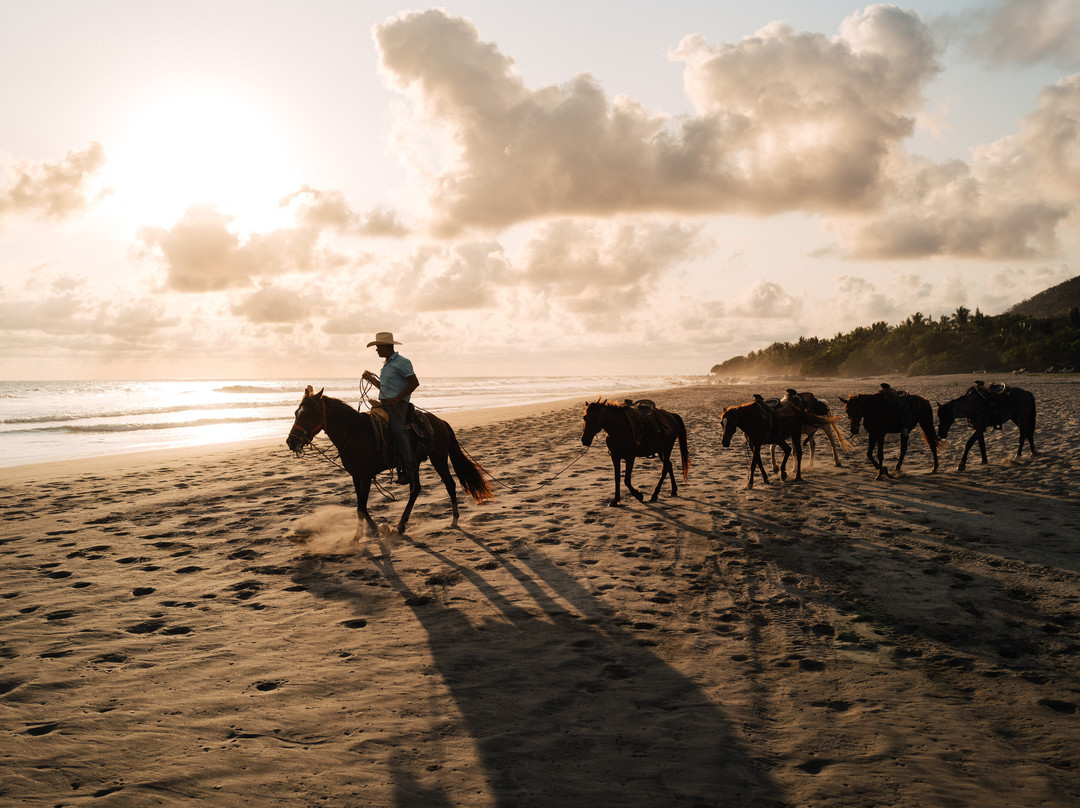 Lo Sereno Casa de Playa主图