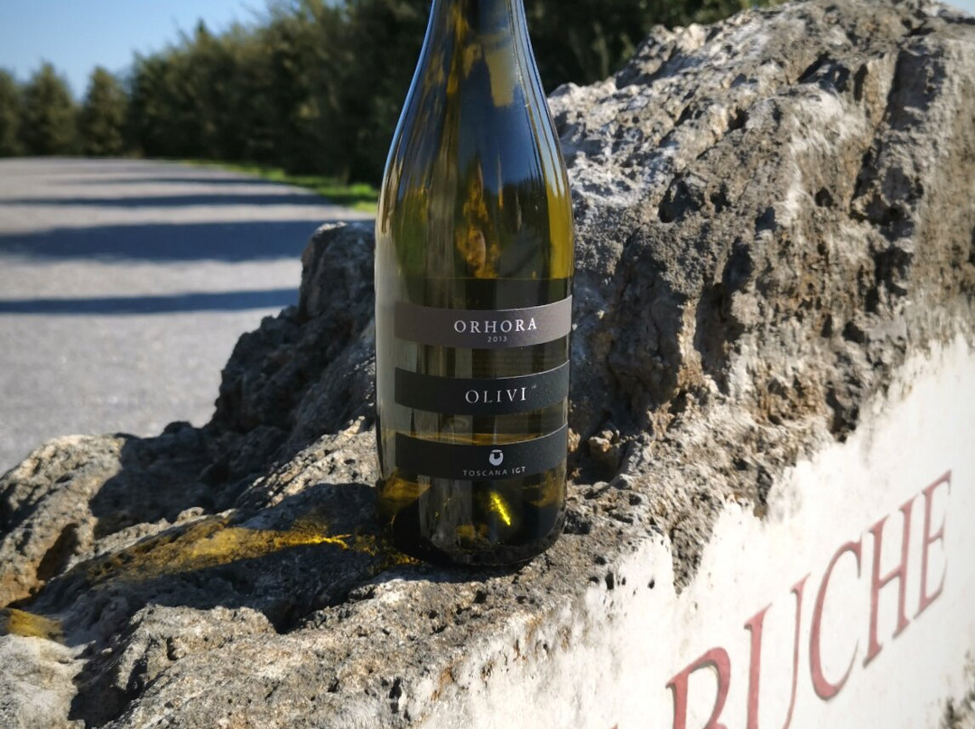 Olivi Le Buche Winery景点图片
