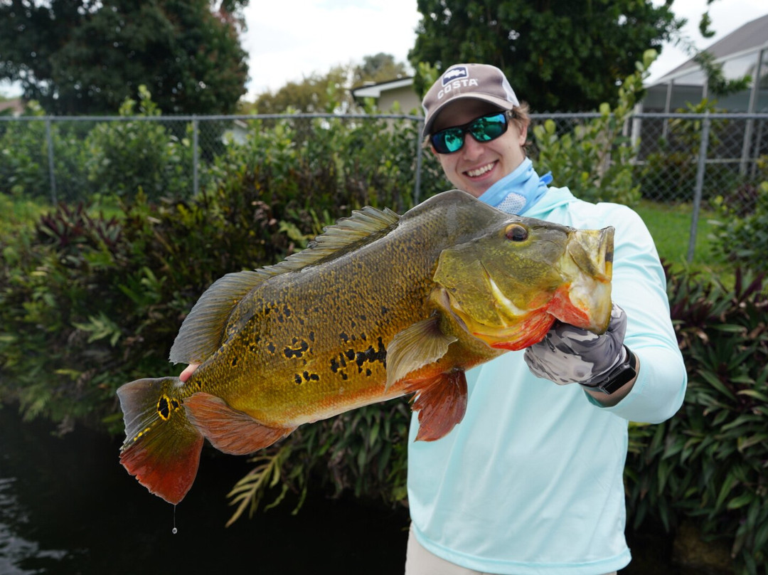 Miami Peacock Adventures - Day Tours-肯德尔必去景点