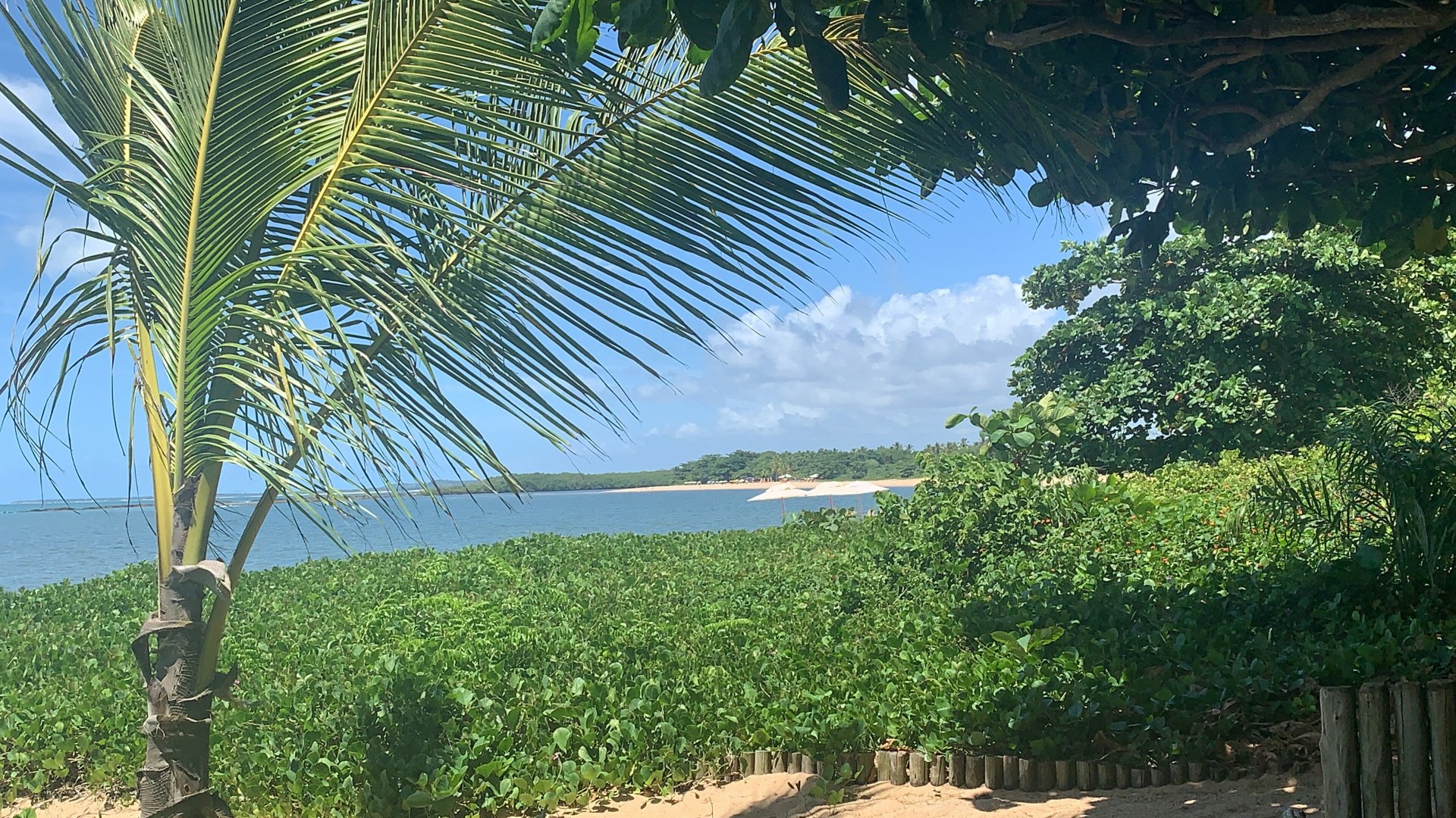 Pousada Vila Araticum Praia-泳池