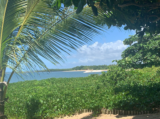 Pousada Vila Araticum Praia主图