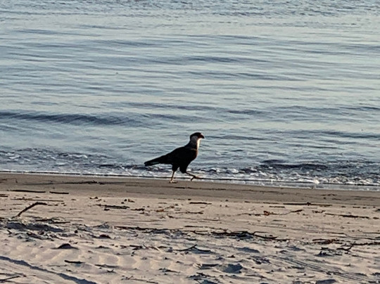 Ilha das Pecas-Guaraquecaba必去景点