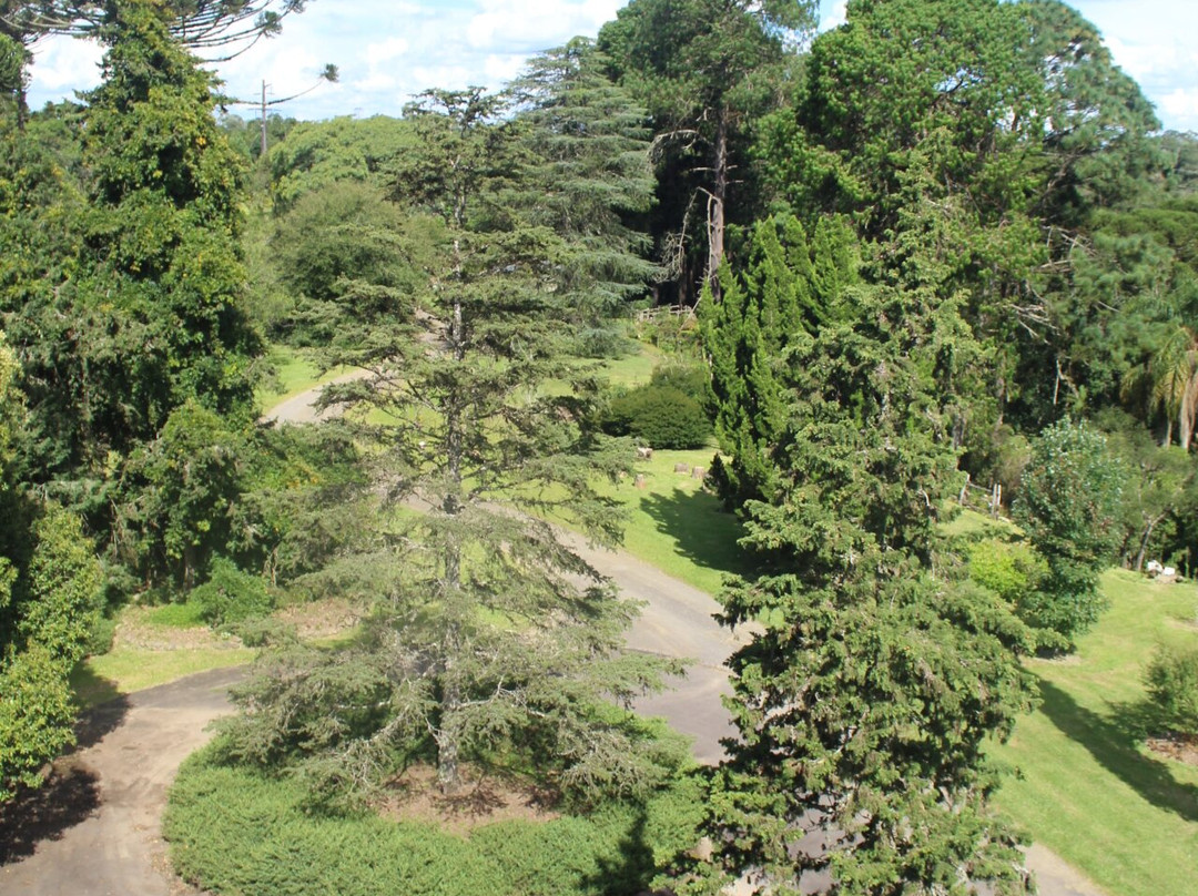 Jardim Botânico de Faxinal do Céu景点图片