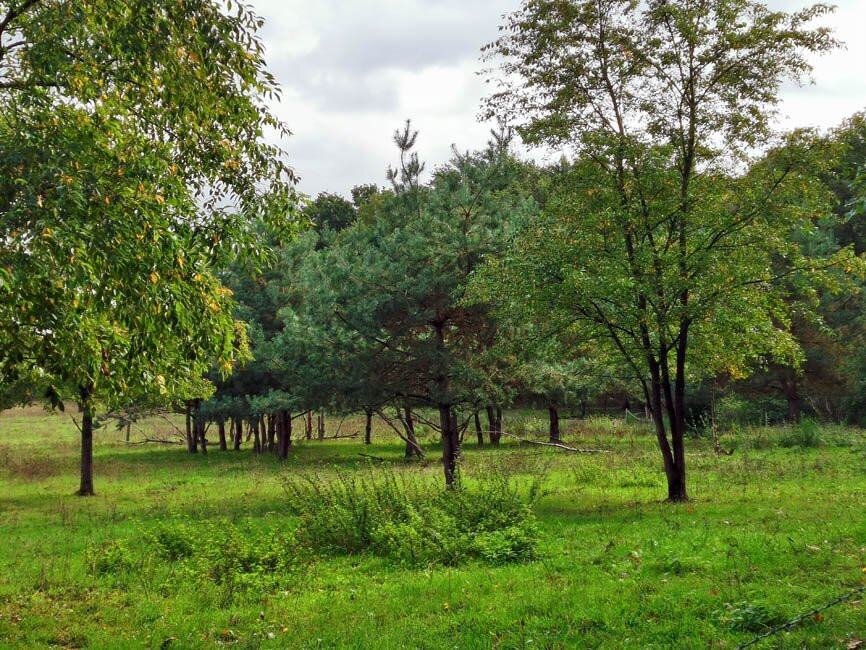 Meanderende Swalm in het Groenewoud景点图片