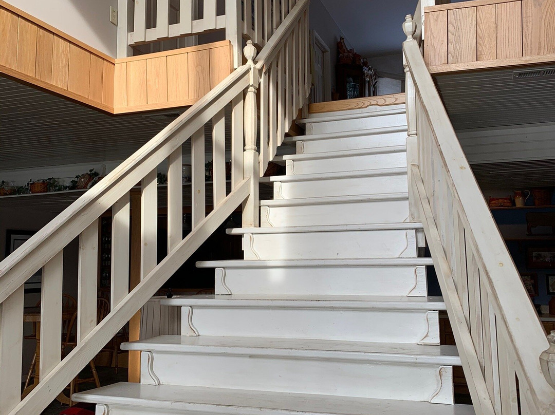 Bass and Baskets主图