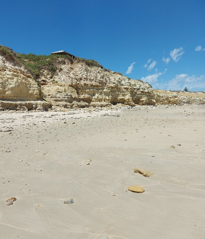Jetty Pylons-Port Willunga必去景点
