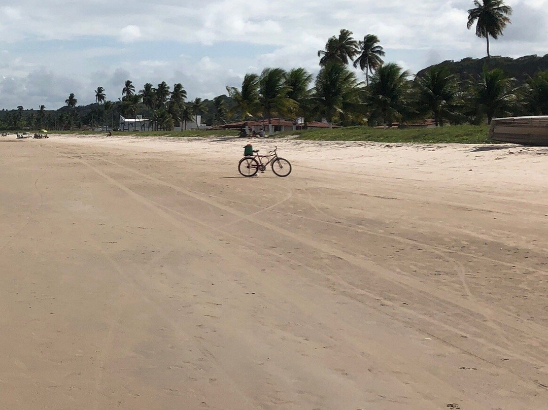 Guarita Beach-Pitimbu必去景点