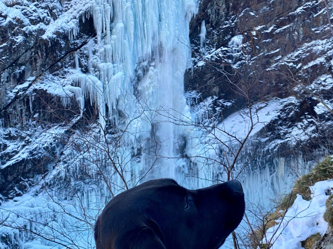 Manafossen Falls and Man Farm景点图片