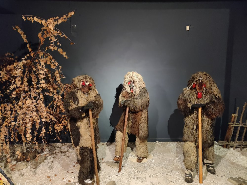 Folk Traditions Museum of Bucovina景点图片