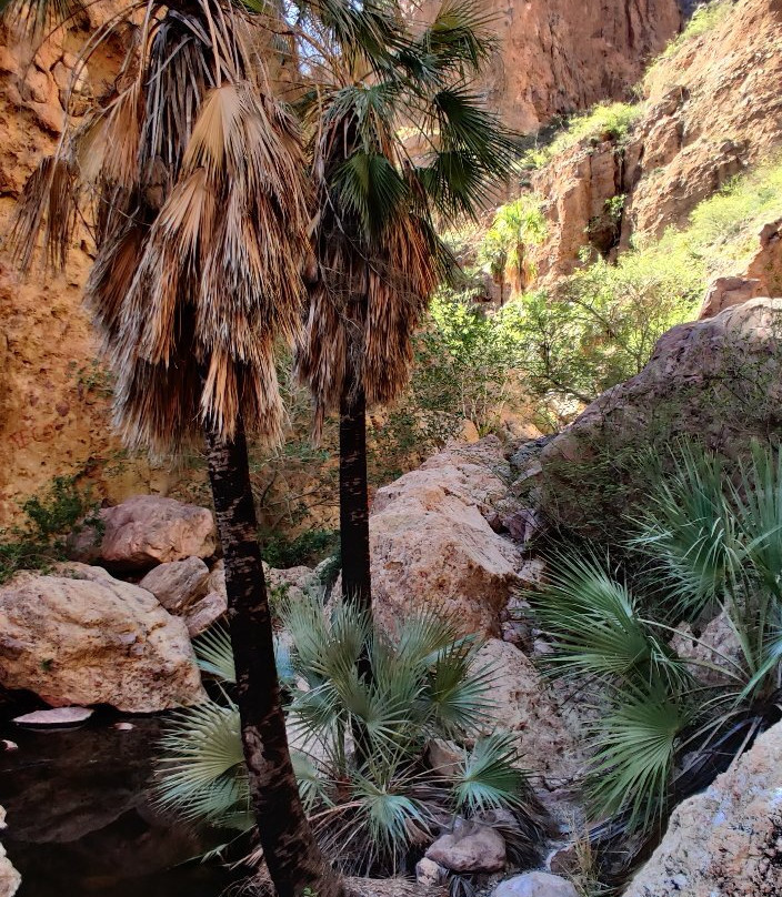 Nacapule Canyon-圣卡洛斯必去景点