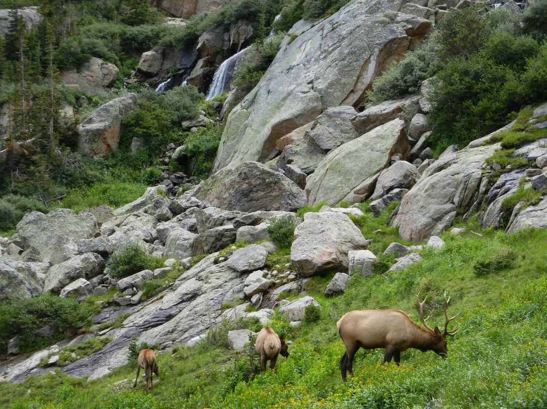 Rocky Guides-埃斯蒂斯公园必去景点