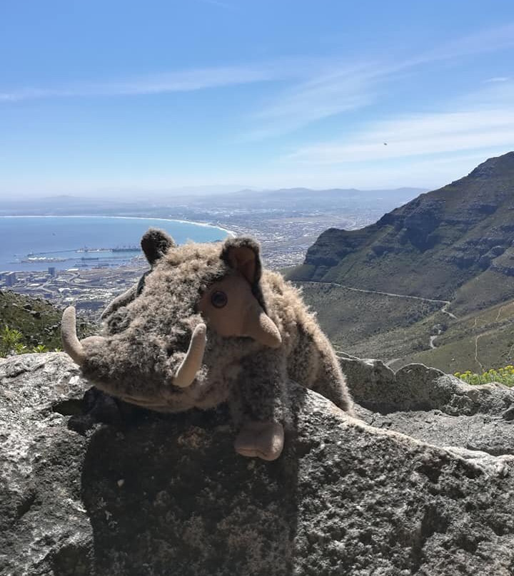 Platteklip Gorge-桌山国家公园必去景点