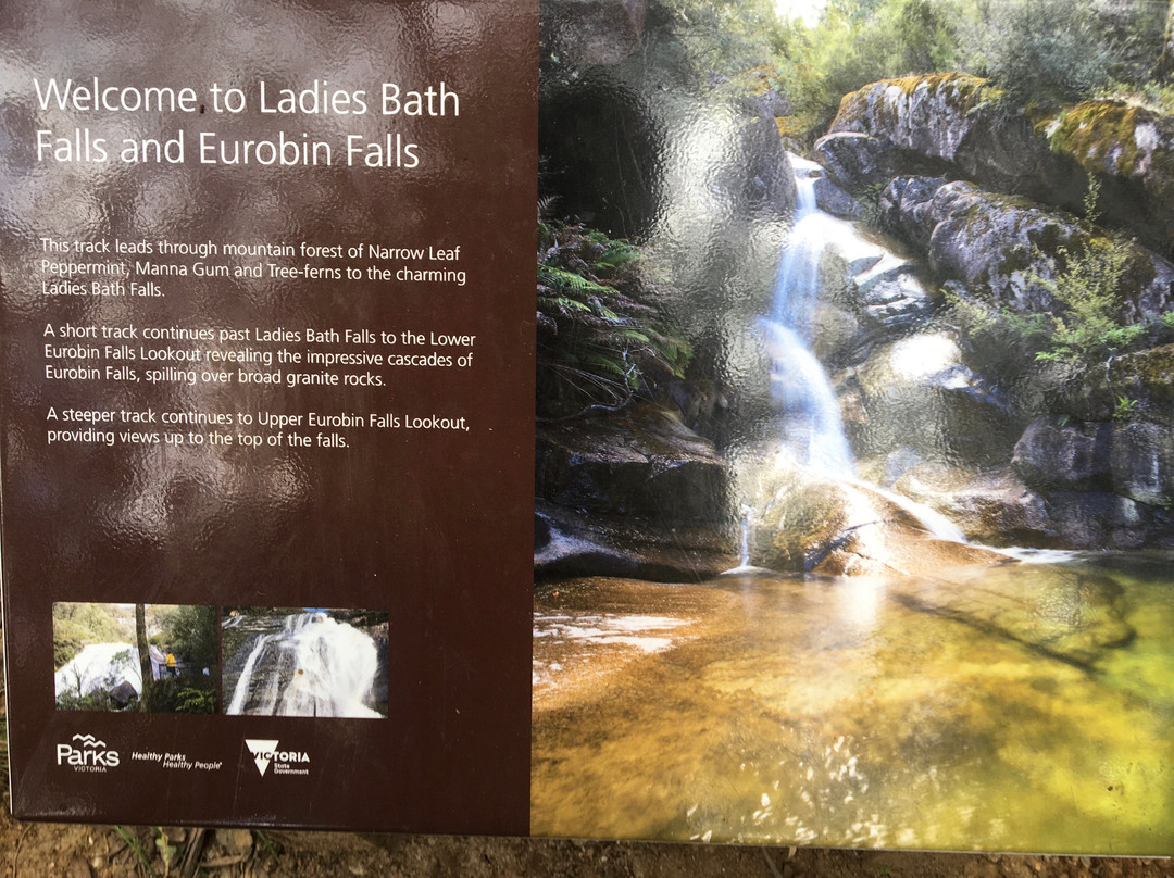 Ladies Bath Falls-水牛山国家公园必去景点