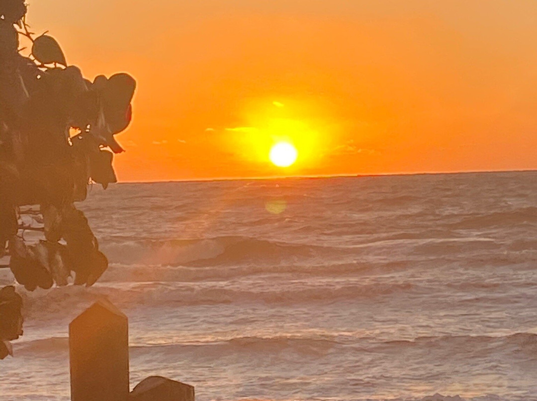 Little Hickory Beach Park-博尼塔斯普林斯必去景点