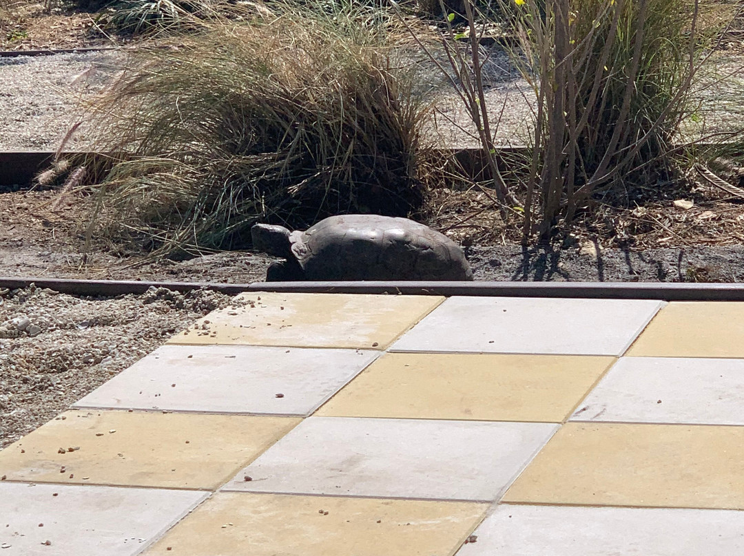 Tropic Star of Pine Island-Bokeelia必去景点