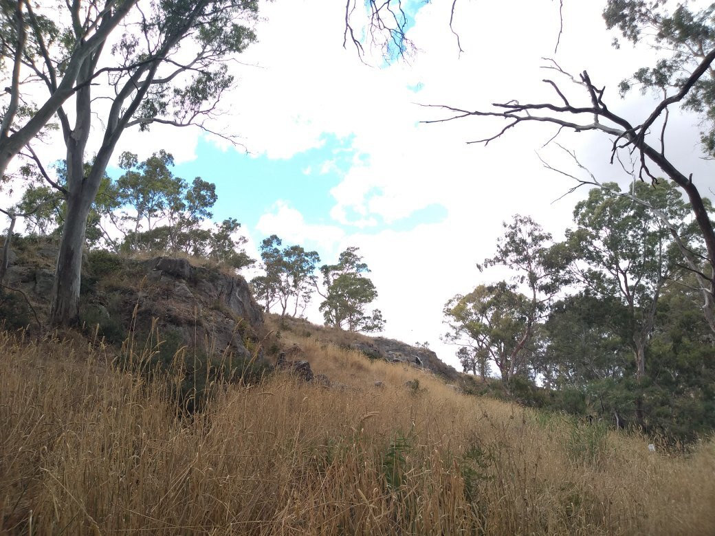 Limestone Cliffs Walk-Naracoorte必去景点