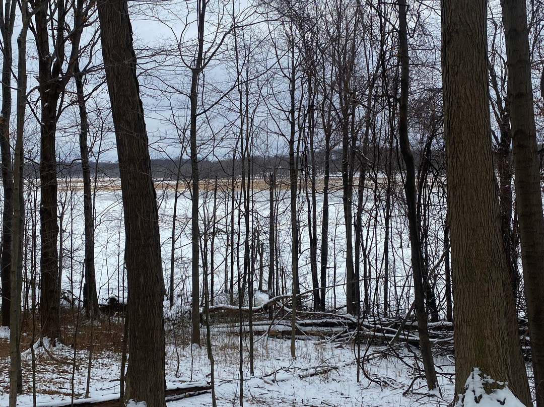 Mentor Lagoons Nature Preserve-Mentor必去景点