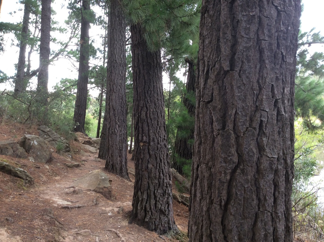 St George's Lake-Creswick必去景点