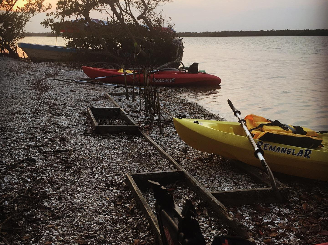 Laguna de Mandinga-韦拉克鲁斯必去景点
