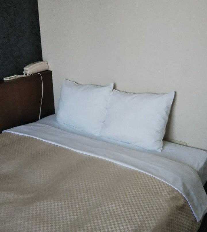 Toyohashi Station Hotel主图