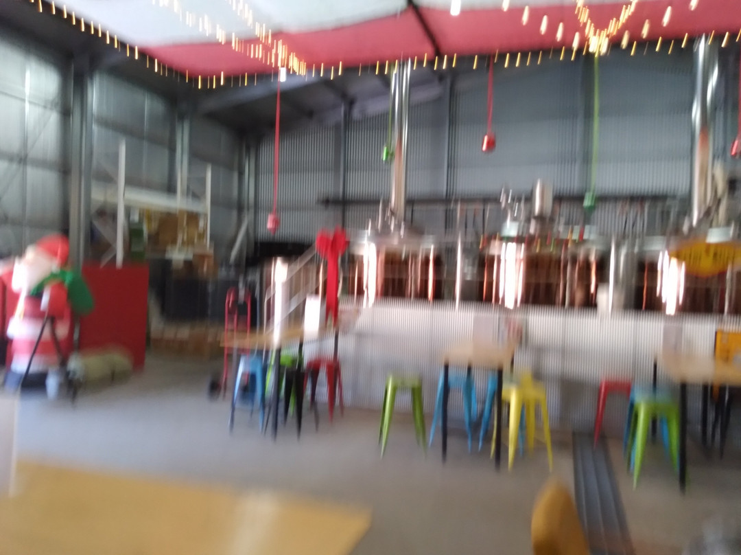 Rehn Bier景点图片
