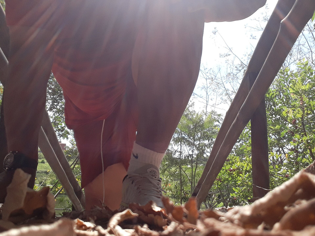 Parque Engordadouro-容迪亚伊必去景点