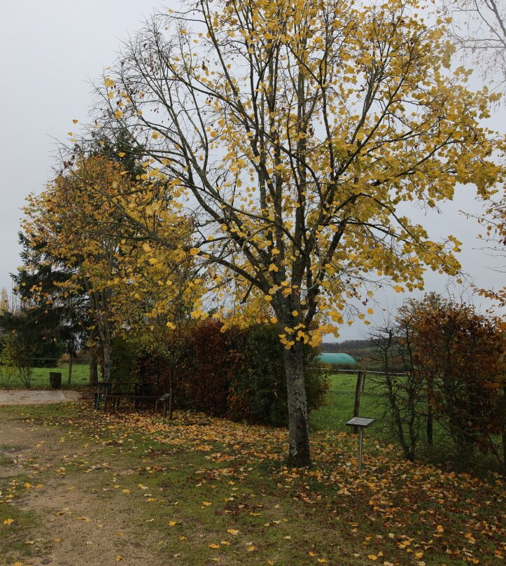 Chapelle Saint-gengoult