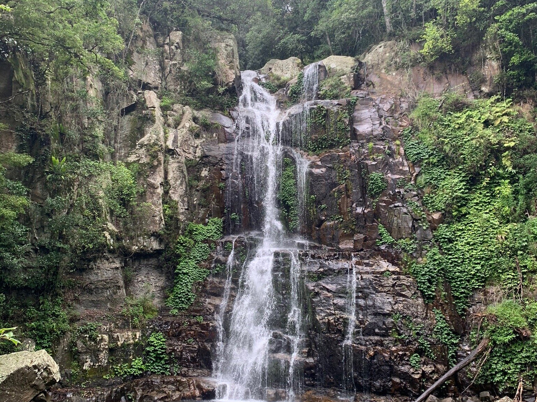 Minnamurra Falls景点图片