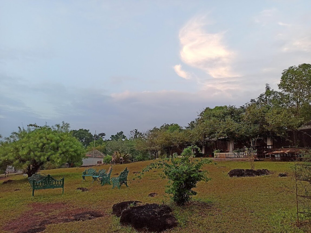 萨马利蕨类度假村主图