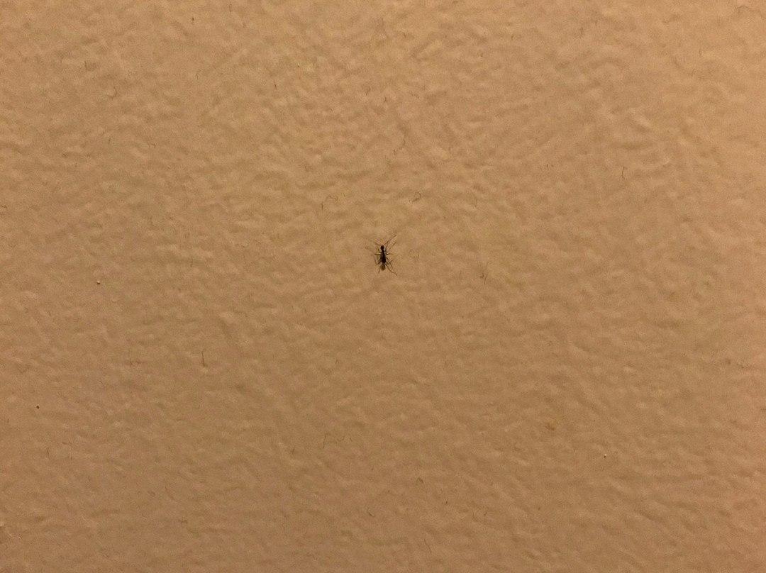 Aloft Tallahassee Downtown主图