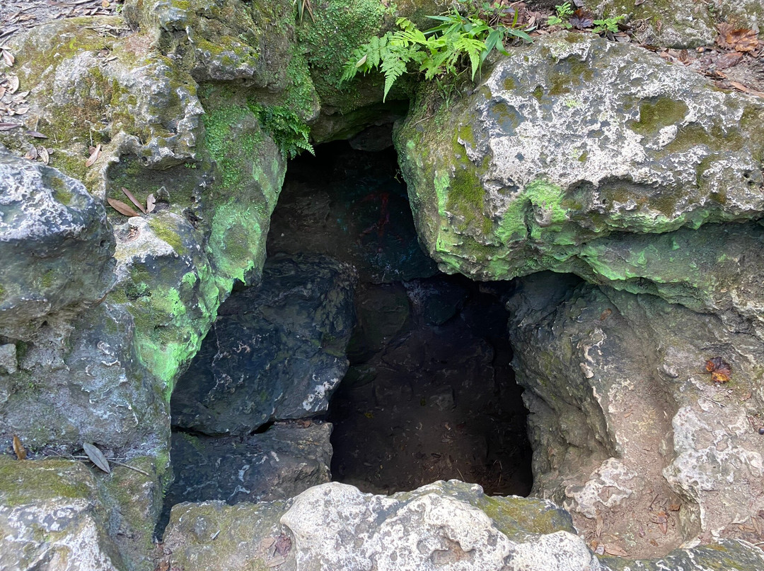 Dames Cave-Lecanto必去景点