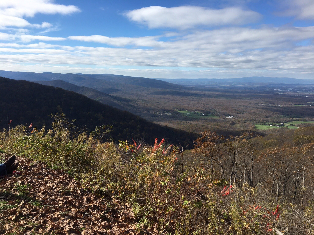 Blue Ridge Parkway-韦恩斯伯勒必去景点