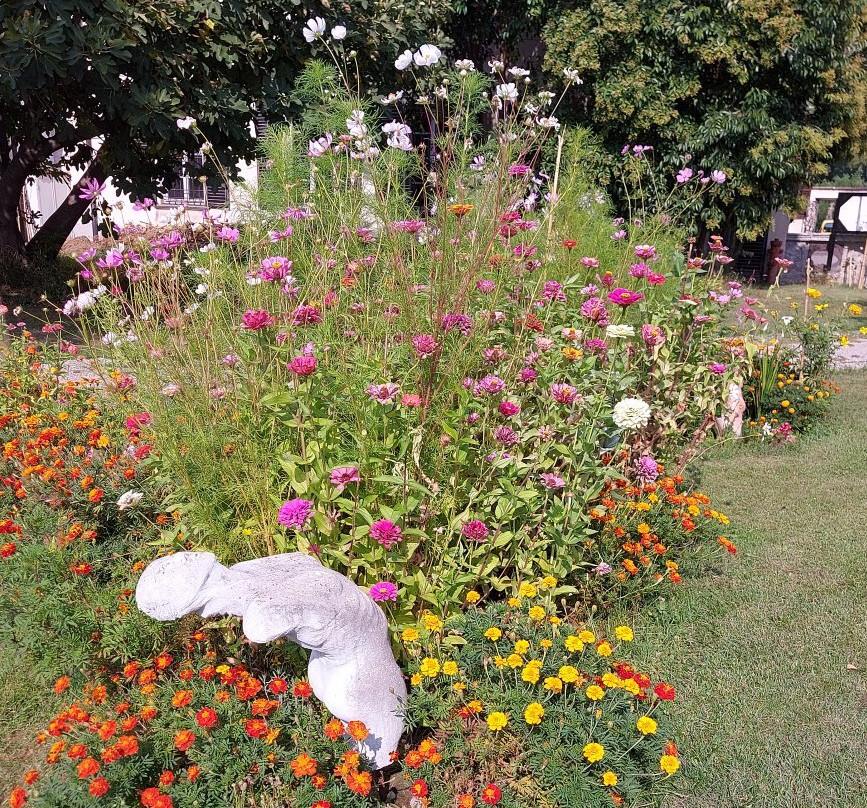 Villa D'Adda Mariani-Casatenovo必去景点