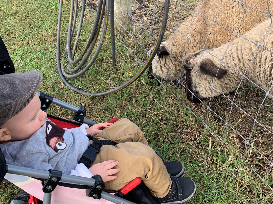 Parson's Farms-Dagsboro必去景点