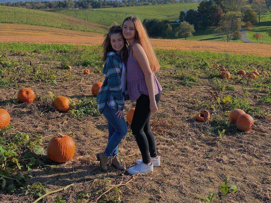 Sinkland Farms-克里斯琴斯堡必去景点