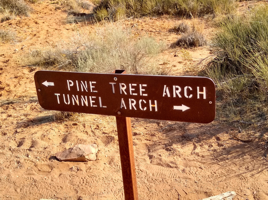 Pine Tree Arch Trail景点图片