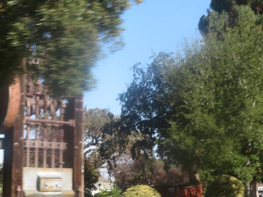 Martin Murphy Junior Park-森尼韦尔必去景点