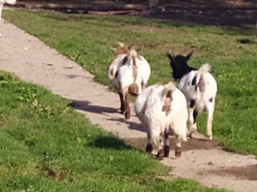 Casa Rural Jesuskoa Eventos主图