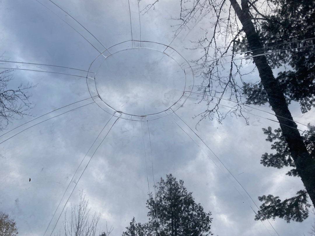 Parc Cavaland-Sainte-Marguerite-du-Lac-Masson必去景点