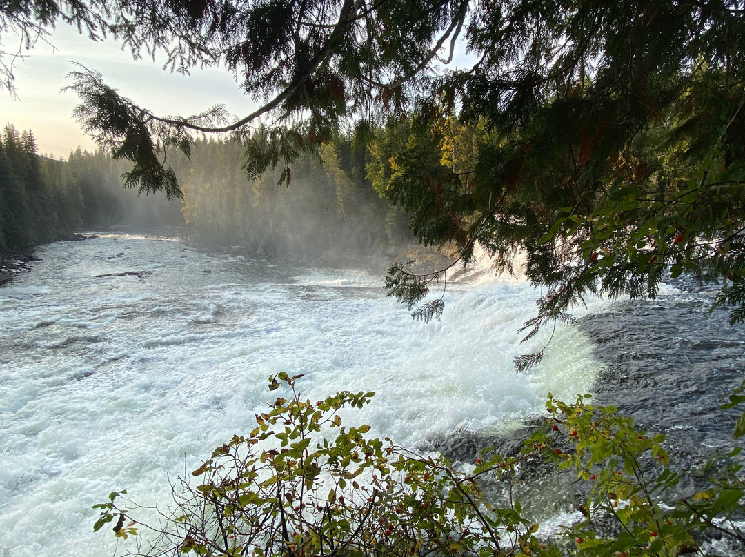 Dawson Falls景点图片