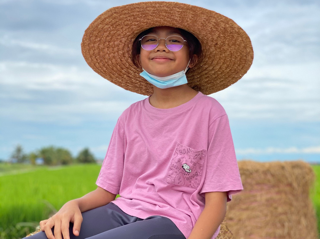 Sekinchan Paddy Field-适耕庄必去景点